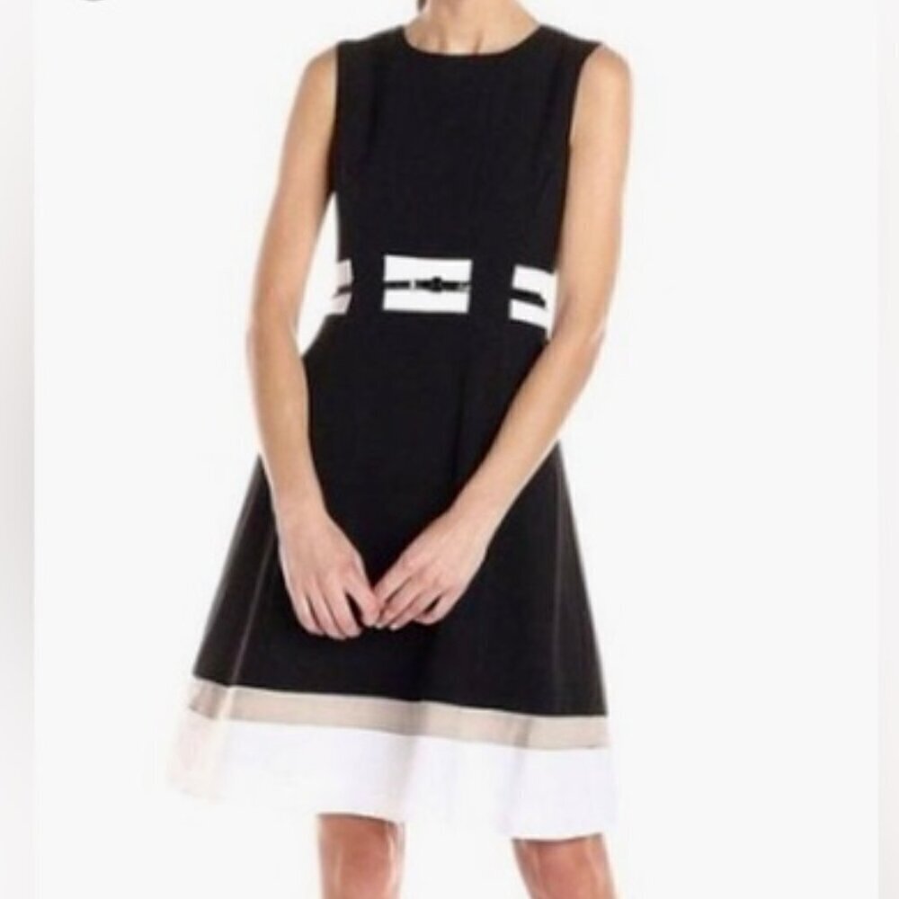 Calvin Klein Fit & Flare Colorblock Dress Size 4P